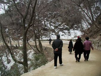 Enlarge photo 223
