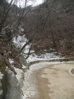 Enlarge photo 224