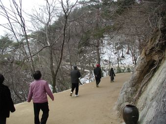 Enlarge photo 225