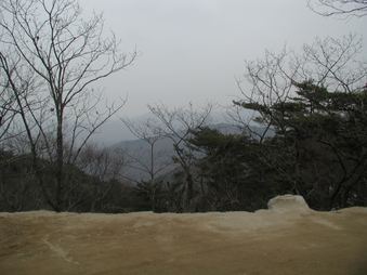 Enlarge photo 226