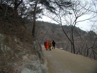 Enlarge photo 227