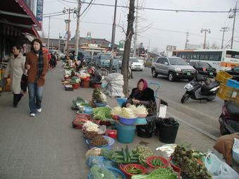 Enlarge photo 231