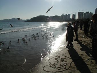 Enlarge photo 110