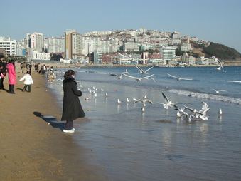 Enlarge photo 111