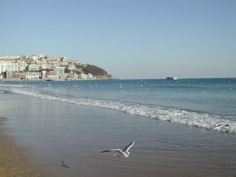 Enlarge photo 114