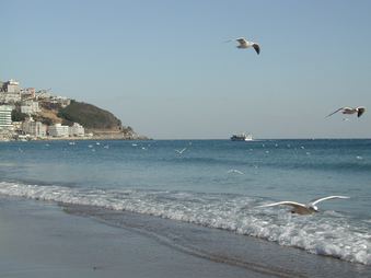 Enlarge photo 115