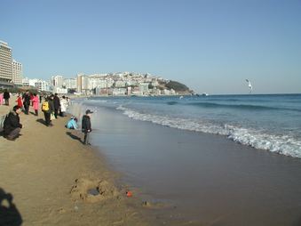 Enlarge photo 105
