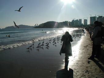 Enlarge photo 116