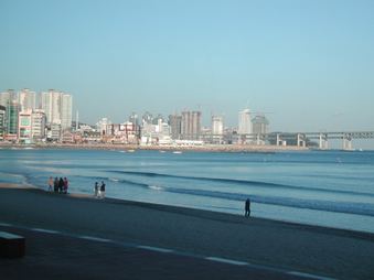 Enlarge photo 106