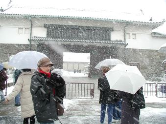 Enlarge photo 14