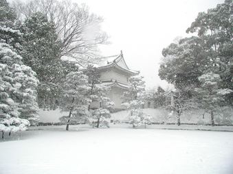 Enlarge photo 17