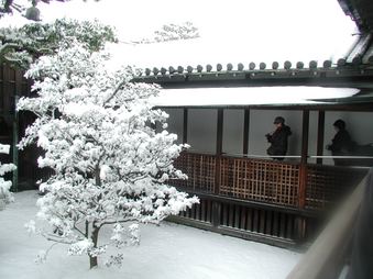Enlarge photo 20