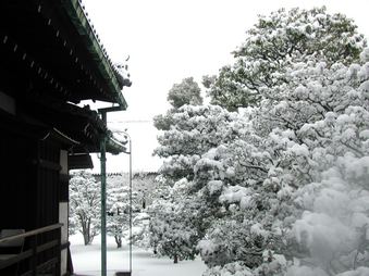 Enlarge photo 21