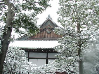 Enlarge photo 23