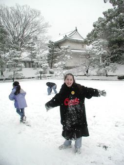 Enlarge photo 31
