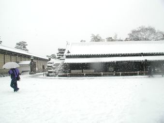 Enlarge photo 33