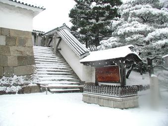 Enlarge photo 35