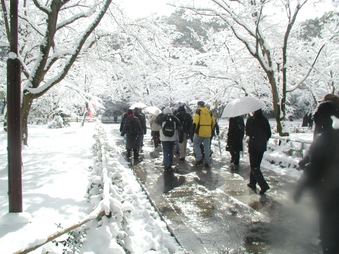 Enlarge photo 40