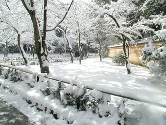 Enlarge photo 41