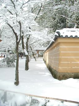 Enlarge photo 43