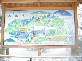 Enlarge photo 44