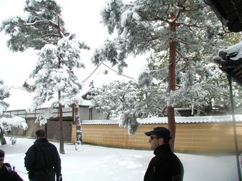 Enlarge photo 45