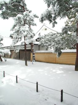 Enlarge photo 46