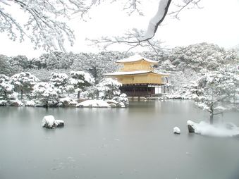 Enlarge photo 50