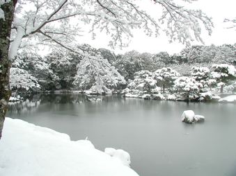 Enlarge photo 51