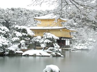 Enlarge photo 1