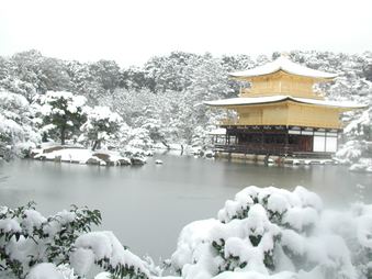Enlarge photo 54