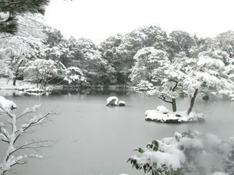Enlarge photo 55