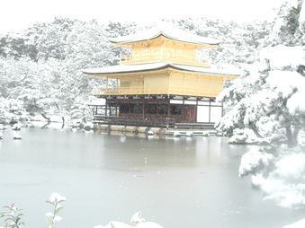 Enlarge photo 56