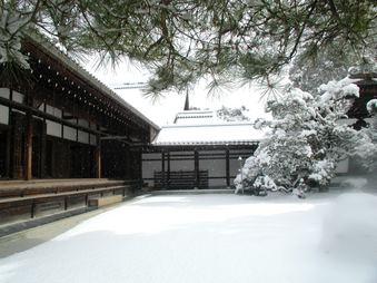 Enlarge photo 58