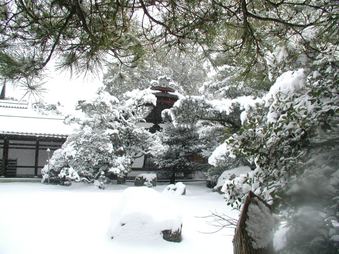 Enlarge photo 59