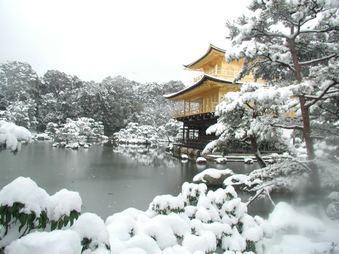 Enlarge photo 60