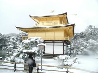 Enlarge photo 62