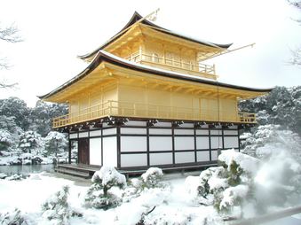 Enlarge photo 63