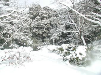 Enlarge photo 65