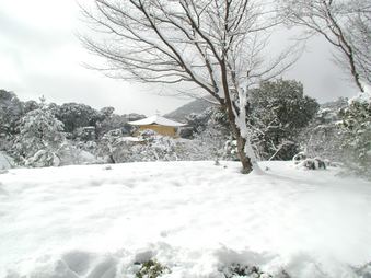 Enlarge photo 66