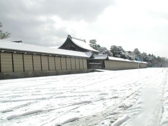 Enlarge photo 71
