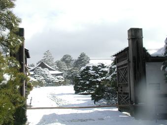 Enlarge photo 73