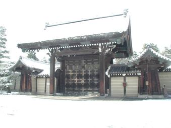 Enlarge photo 74