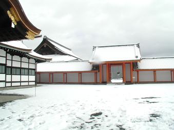 Enlarge photo 76
