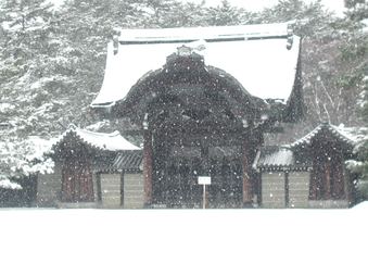 Enlarge photo 84