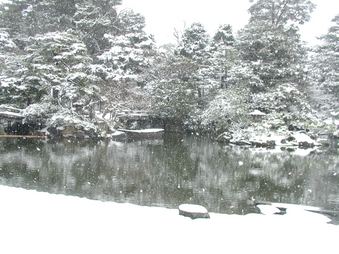 Enlarge photo 88