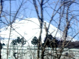 Enlarge photo 85