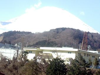 Enlarge photo 87