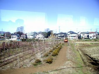 Enlarge photo 90