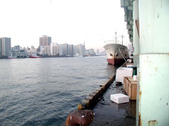 Enlarge photo 32